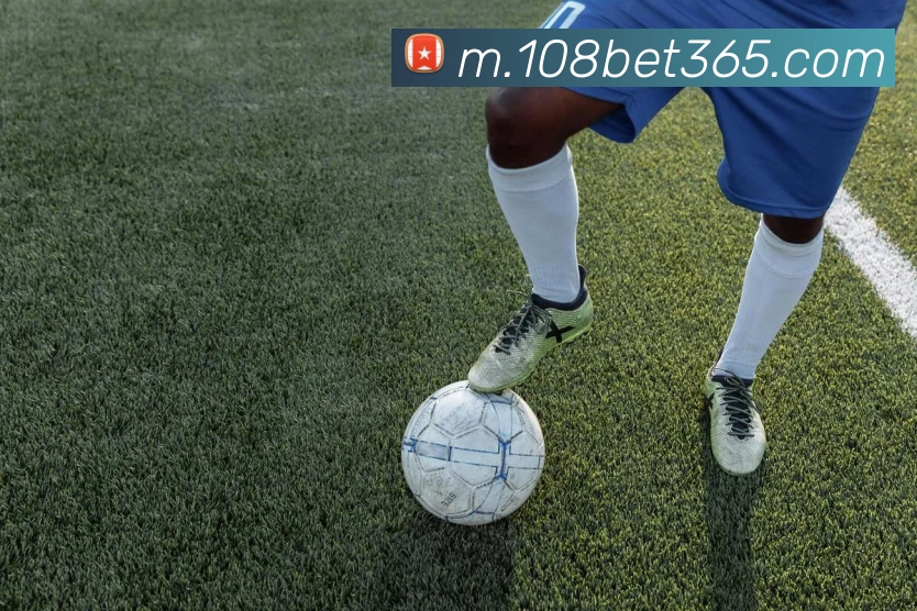bet365中国官网发展历程